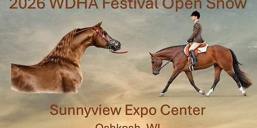 WDHA Festival Open Show