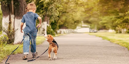 Cursus: Ontspannen wandelen zonder trekken