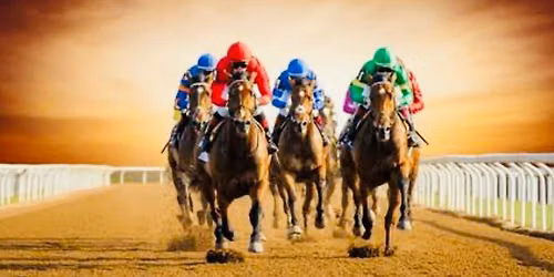 Social Club Members A day at the Races. Incls Return bus, Entrance, Lunch + Drink package. $60pp