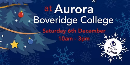 Christmas Fayre at Boveridge College