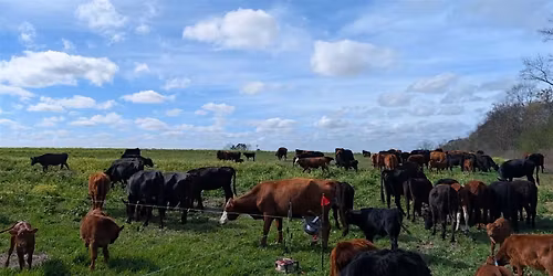Rotational Grazing Class