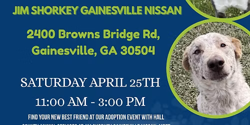 Mutts & Motors Adoption Event