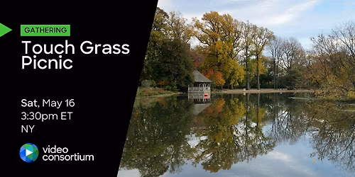 Touch Grass Picnic