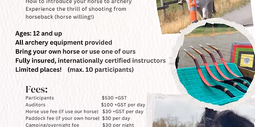 Falkland Starter Clinic for Equestrian Archery