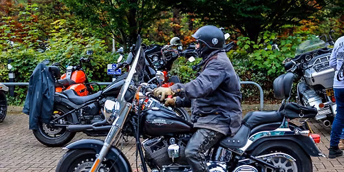 Cirencester Hogsback Rally