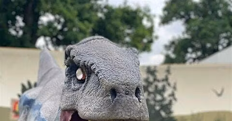 Sailing With Dinosaurs