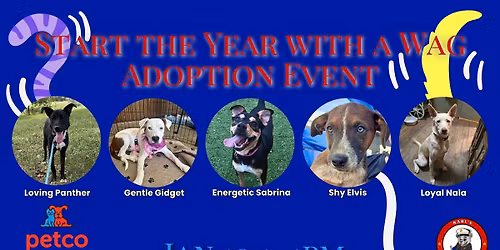 Start the Year with a Wag Adoption Event