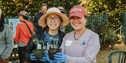 Gamble Plant Sale