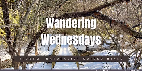 Wandering Wednesday - Free Naturalist-Led Hike
