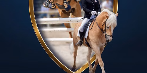 Dressur- & Springturnier mit Tiroler Meister- und Mannschaftsmeisterschaften Haflinger