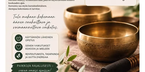 \u00c4\u00e4nimaljat, peruskurssi, Turku