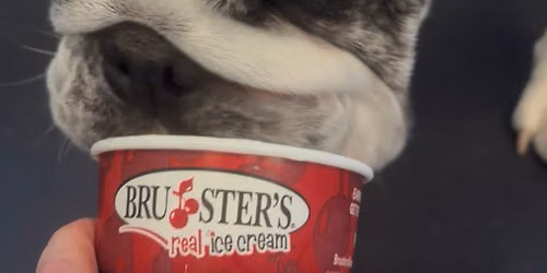 Bruster's Ice Cream Party