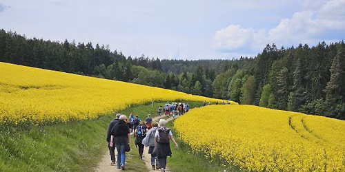 Wandersommer 2026 - Von Wildstein nach T\u00e4nnesberg