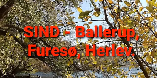 Den Forrykte Julefreds Koncert