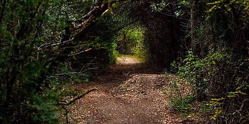 Big Cedar Wilderness Community Meeting 4