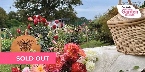 Gourmet Country Picnic at Bee Valley