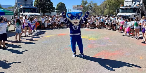 Wildstone's Colours 4 Kids Run