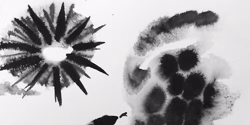 Family Sunday: Black and White