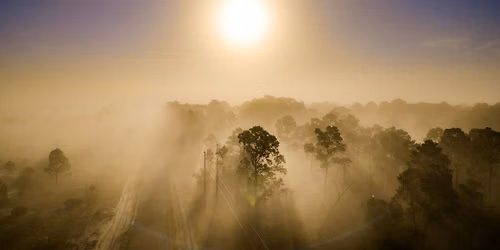 Monthly Chapter Meeting: Wildlife & Environmental Areas