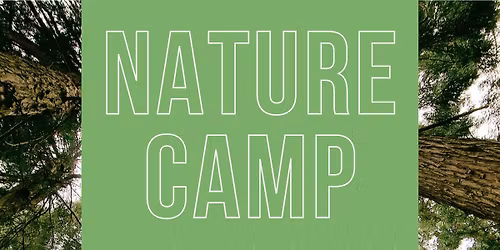 Nature Camp \ud83c\udf3f\ud83d\udc26\ud83c\udf32