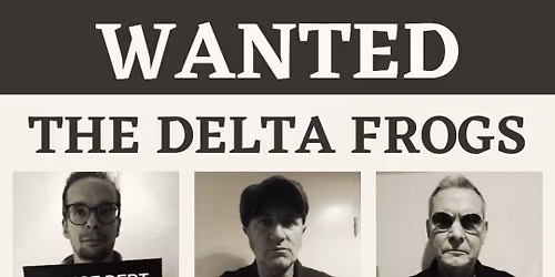 The Delta Frogs - Back to the Blues \ud83c\udfb6