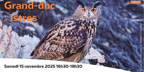 Sortie nature : \u00e0 la recherche du Grand Duc