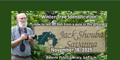 November Meeting - Winter Tree Identification