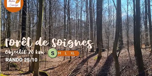 🥾 Rando: Forêt de Soignes 10km (complet)