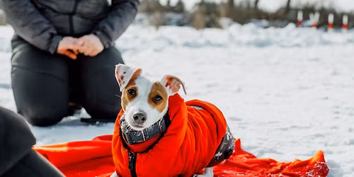 Walentynki KO w Mostach