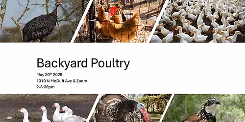 Living on a Few Acres: Backyard Poultry (Online & in-person)