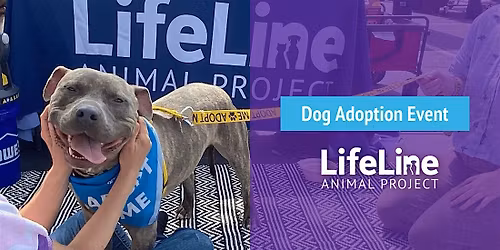 PetSmart (Norcross) Dog Adoption Event