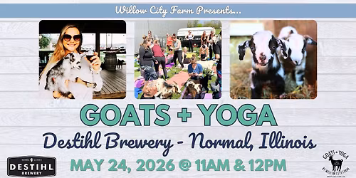 Goats + Yoga @ Destihl Brewery & Beer Hall, Normal IL