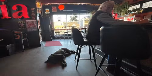 Octopus Songwriter's Open Mic.