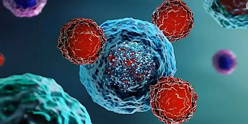 Study Morning on Immune Checkpoint Inhibitors in Cancer Management
