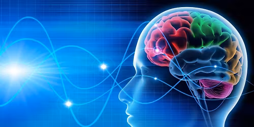 SEN Strategies Workshop