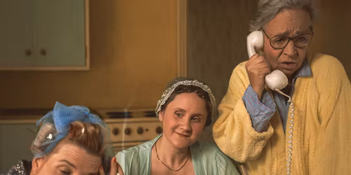 Handbok f\u00f6r husm\u00f6drar - Orsa