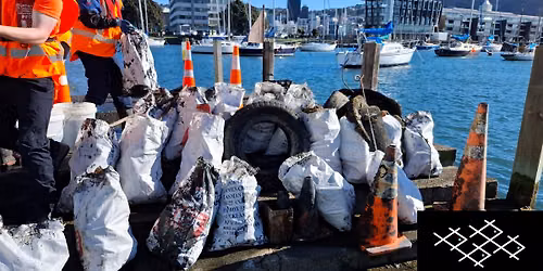 Royal Port Nicholson Cleanup - GDNZ 2026