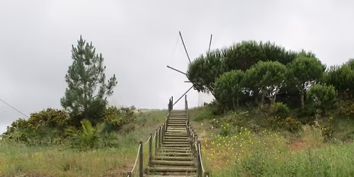 Caminhando no Vale Verde da Abelheira