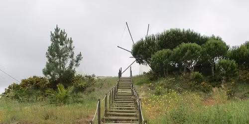 Caminhando no Vale Verde da Abelheira