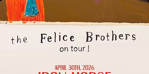 The Felice Brothers