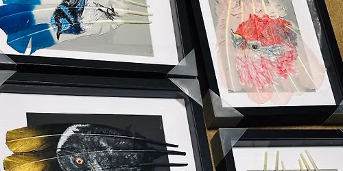 Wing & Quill Market Debut 