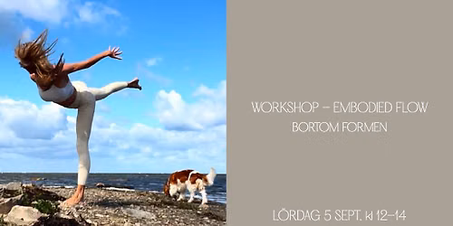 Embodied Flow bortom formen