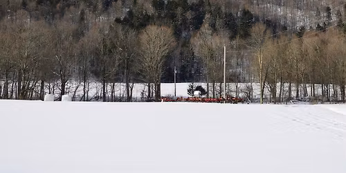 Tree ID and Natural History Tour of Red Rocks Park