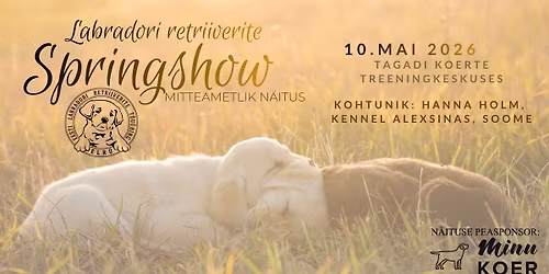 SPRINGSHOW 2026