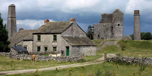 Wild Flowers and Tales of an Old Lead Mine - Ranger Guided Walk