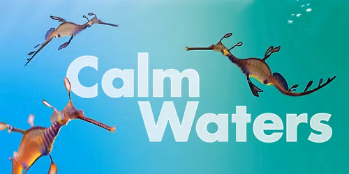 Calm Waters
