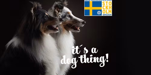 European Dog Show 2026 \u2013 Sweden