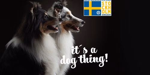 European Dog Show 2026 – Sweden