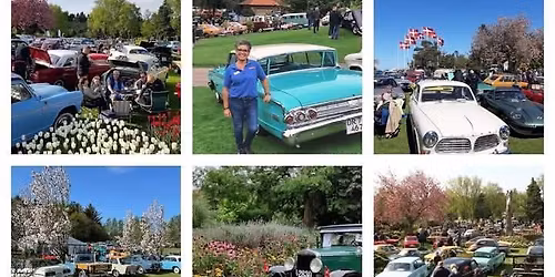 Veteranbiludstilling I Jesperhus Blomsterpark 