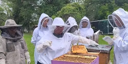 2026 Bee Keeping 101 Valentine's Special